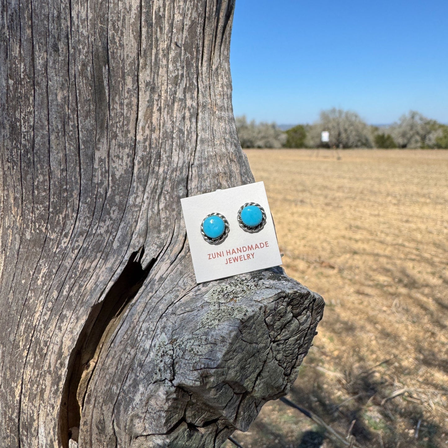 Zuni Turq Studs