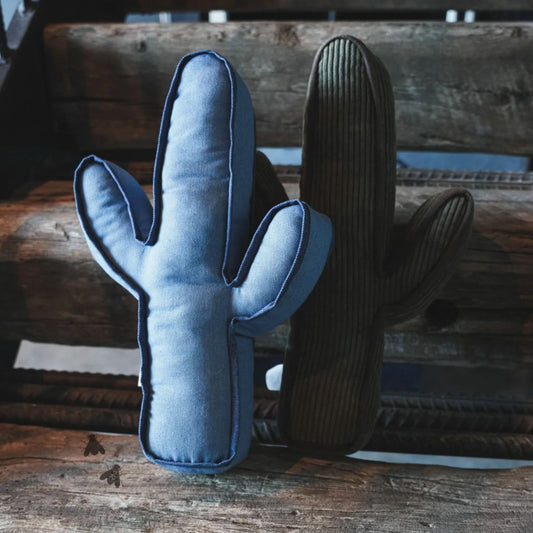 Hug A Cactus Pillow- Denim