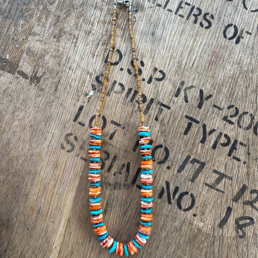 Turq, Spiny and Shell Necklace